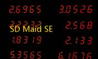 SD Maid SE